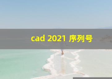 cad 2021 序列号